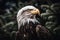 A close up of a bald eagle with pine trees in the background. Generative AI image.