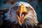 Close-up of Bald Eagle Wings in Alaska