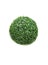 Close up of ball-shaped green bush