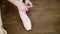 Close up, ballerinas change their shoes into special ballet shoes, pointe shoes, lace with ballet ribbons, on an old