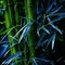 a close up of a bamboo plant with green leaves