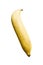 Close-up banana on black wood background Clipping path