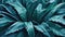 Close-up of banana tree leaves with cold colors. Aesthetic and refreshing tropical leaves background. Fresh blue foliage wallpaper