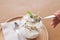 Close up of Banoffee in a glass jar