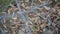 Close-up of barb wire fence separating person from freedom, property protection