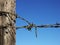 Close up of a barbed wire fence