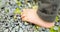 Close up of the bare foot of the child walking on over gravel and copy space