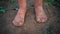 Close-up barefooted dirty feet of a child standing on a damp ground