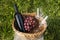 Close up of basket grape fruits, glass of red wine on green grass in garden. Summer weekend outdoor.