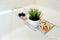Close up of bathroom spa set with green plant pot