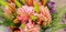 Close-up of Beacutiful boquet of colorfyl flowers including zinnias and ferns and lilies from top view