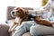 Close up of a beagle dog sitting on african woman lap