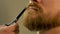 Close-up of a beard and a man`s mustache combed rosace and neatly trimmed with scissors, beauty salon for men