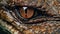 Close up of beast eyes young Crocodile. Generative AI