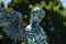 Close up of Beautiful Angel in the Water Fountain in German Park