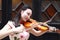 Close-up Beautiful Asian Chinese woman in traditional chi-pao cheongsam play violin in in a garden lean on a door