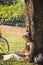 Close up Beautiful Asian woman in casual wear sitting and reading a book under the tree next to a white bicycle in a public park