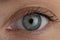 Close up beautiful blue eye opening human iris macro natural beauty