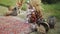 Close-up beautiful boho arch decoration on outdoor wedding ceremony. Floristic flower compositions of pastel colors