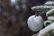 Close up of beautiful christmas decoration-silver sparkling apple hanging on the Christmas tree on dark night background