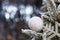 Close up of beautiful christmas decoration-silver sparkling apple hanging on the Christmas tree on dark night background. Silver