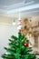 Close-up of a beautiful Christmas tree decorated with a peak on top. Christmas background