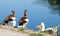 Close up of beautiful egyptian gooses standing near by the river.