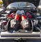 Close up of beautiful engine in antique car displayed in the Wisteria Festival