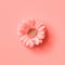 Close up beautiful gerbera flower on a color background of the year 2019 Living Coral Pantone. Flower concept. Flat lay.