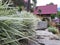 Close-up of a beautiful homestay with a blurred background of Mount Kerinci.