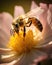 Close-up of a beautiful honey bee collecting nectar from a white flower in the garden, soft morning light, Generative AI