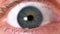 Close-up of a beautiful human blue eye. People`s faces.