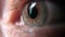 Close-up of a beautiful human eye with gray iris