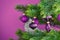 Close up of beautiful purple glass tree bauble with decorated Christmas tree with other seasonal tree ornaments on violet backgrou