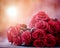 Close up beautiful red roses bouguet with glowing light background for valentine day and love theme