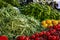 Close-up of beautiful rows of fresh vegetables