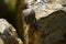 Close-up of a Beautiful Snail on a Stone, Nature, Macro