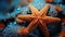 Close Up of Beautiful Starfish Underwater Blurry Seascape Background