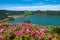 Close up beautiful view of pink flowers to background lake. Azores, Sao Miguel, Portugal.