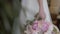 Close-up of a beautiful wedding bouquet of delicate pink peonies in the hands of the bride in an ivory wedding dress.