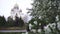 Close up for beautiful white flowers of apple trees on golden dome church background. Stock footage. Orthodox church