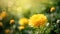 Close up of beautiful yellow flowers blur nature background. Generative Ai