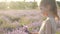 Close-up of a beautiful young girl picking flowers at sunset on lavender field