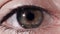 Close-up of a beautiful young woman`s green eye. Close-up of green human eye. green eye very closer. Human eye, macro
