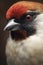 Close-Up Beauty: Majestic Red-Crested Bird with Vivid Plumage Perched Against Blurred Brown Backgroun, ai generative