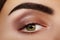 Close-up Beauty of Woman`s eye. smoky Eyes Makeup with brown Eyeshadows. Perfect strong Shape of Eyebrows