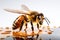 Close-up of a Bee feeding on nectar honey pollen Generative AI Illustration