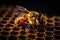 Close up of a bee on honeycomb with honey. AI generated