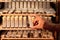 Close up of beekeeper hands, holds cell curlers for the withdrawal of the queen bee. Details of beekeeping