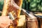 Close-up Beekeeper uncapping honeycomb with special beekeeping fork. Raw honey being harvested from bee hives. Beekeeping concept